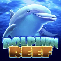 RTP Play8 Dolphin Reef